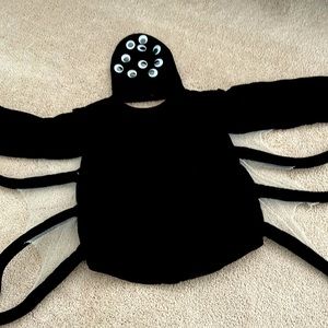PreK or Kindergarten Eensy Weensy Spider costume